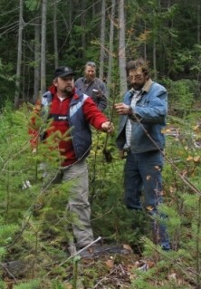 Armilaria survey breaks out