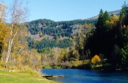 Slocan River at Winlaw
